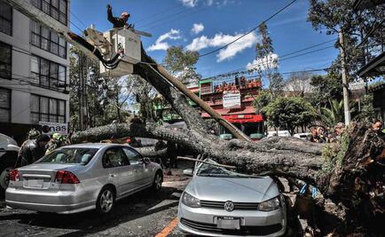 ¿Debemos alarmarnos por el clima?