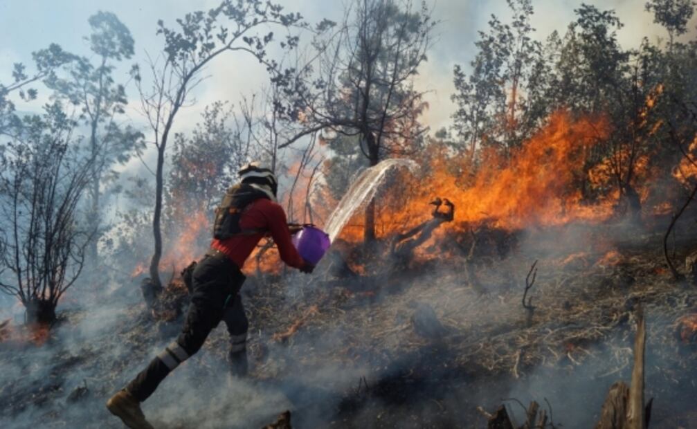 Incendio forestal en Oaxaca arrasa con 10 viviendas; hay 4 activos en el estado