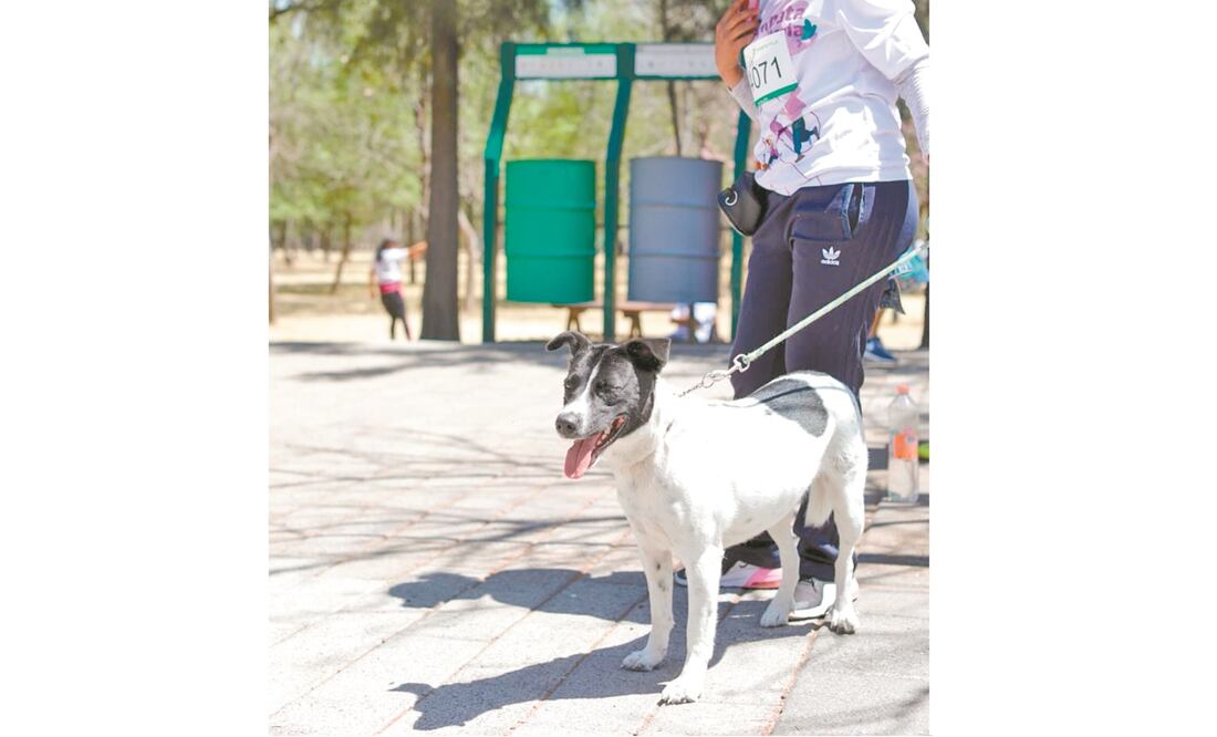 La primera Caminata en una Ciudad para Todos se realizó en la segunda sección del Bosque de Chapultepec. Foto: ESPECIAL