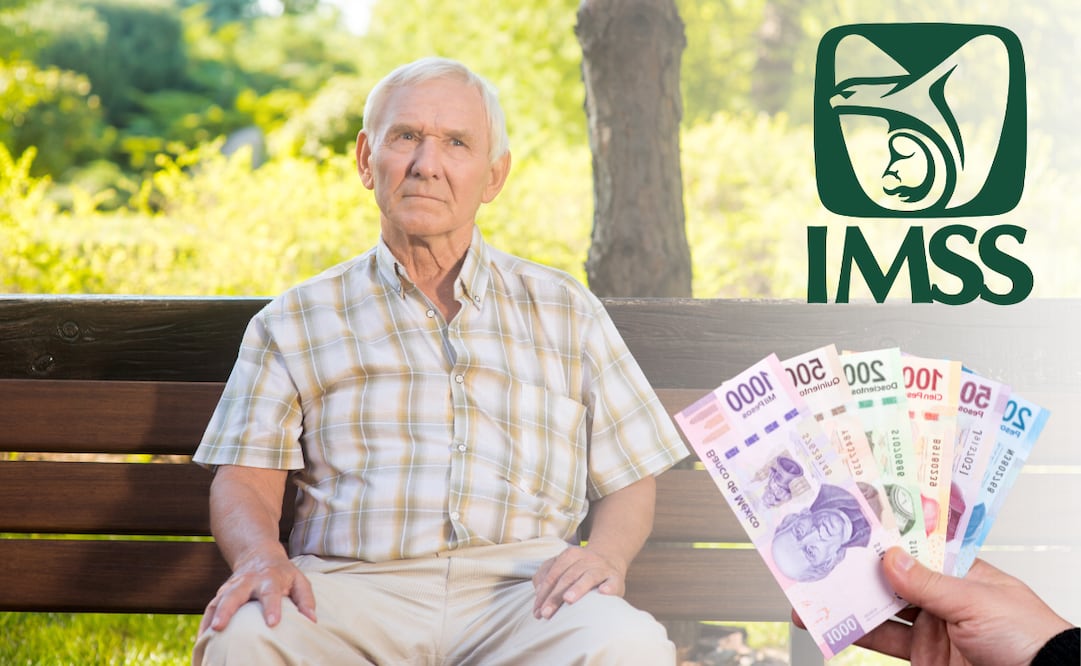 Pensión IMSS 2026: ¿qué día cae el depósito correspondiente a febrero?; conoce la fecha clave. Foto: Canva
