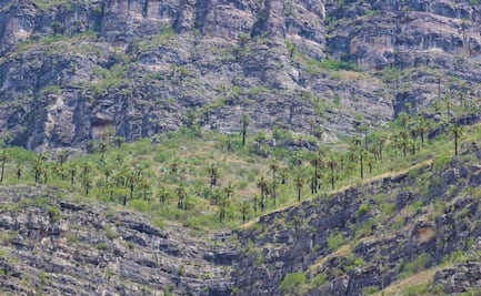 Coahuila tendrá 11 nuevas reservas naturales protegidas voluntarias