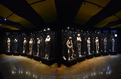 Proyecto de nuevo Museo de las Momias de Guanajuato con centro comercial violenta normatividad