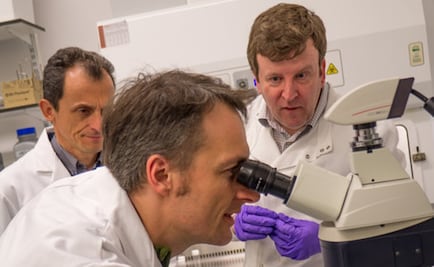 Arqueología en el espacio: buscando vida en las rocas