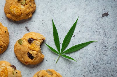 ¿Dónde comprar comida con CBD, cáñamo y THC online?