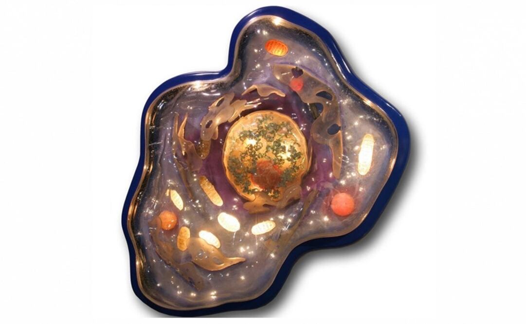 LUCA fue un organismo que pudo vivir sin oxígeno, obteniendo energía a partir del dióxido de carbono, hidrógeno y otros gases calientes. (FOTO: Especial)