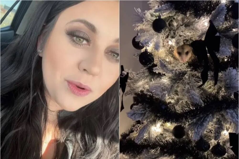 Una mujer encontró en su árbol de Navidad un animal salvaje que la dejó en shock. FOTO: TikTok @brettbratt359