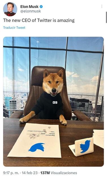 Elon Musk compartió una foto de su mascota como el "nuevo" CEO de la app. Foto: Twitter @elonmusk