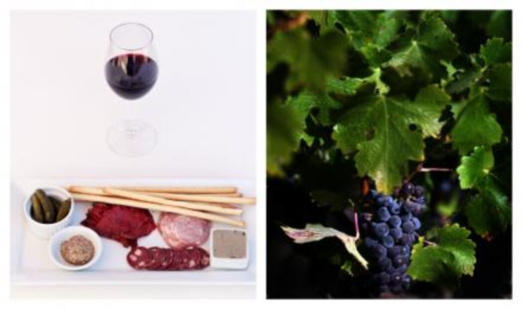 Ruta al vino: escápate a California