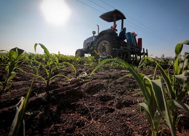 El negro panorama para el mundo por la guerra Rusia-Ucrania: disturbios, escasez de granos y recesión, según ONU