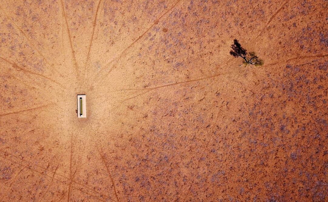 A lone tree stands near a water trough in a drought-effected paddock on Jimmie and May McKeown's property located on the outskirts of town of Walgett, in New South Wales, Australia - Photo: File Photo/REUTERS