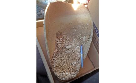 Hallan en Jerusalén nueve sapos decapitados de hace 4 mil años