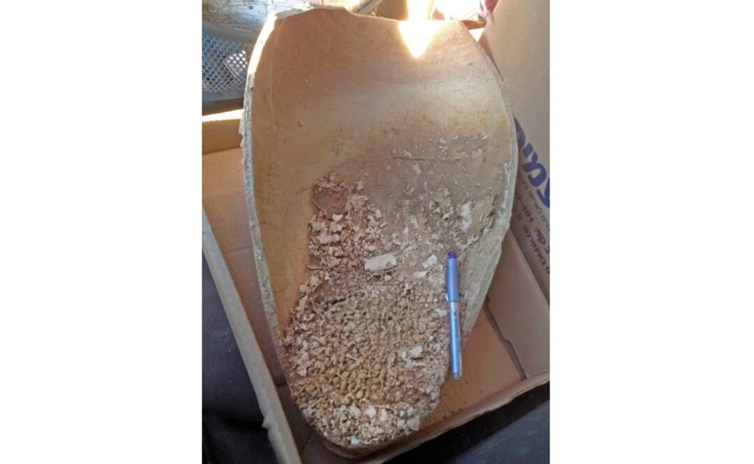 Foto: EFE / ZOHAR TURGEMAN-YAFFE