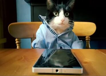 El día que Nokia vendió celulares con gatitos