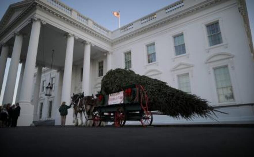 ​Recibe Melania Trump primer árbol de Navidad de la Casa Blanca