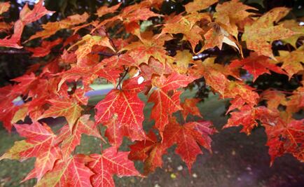 What is the fall equinox?