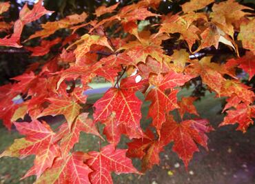 What is the fall equinox?