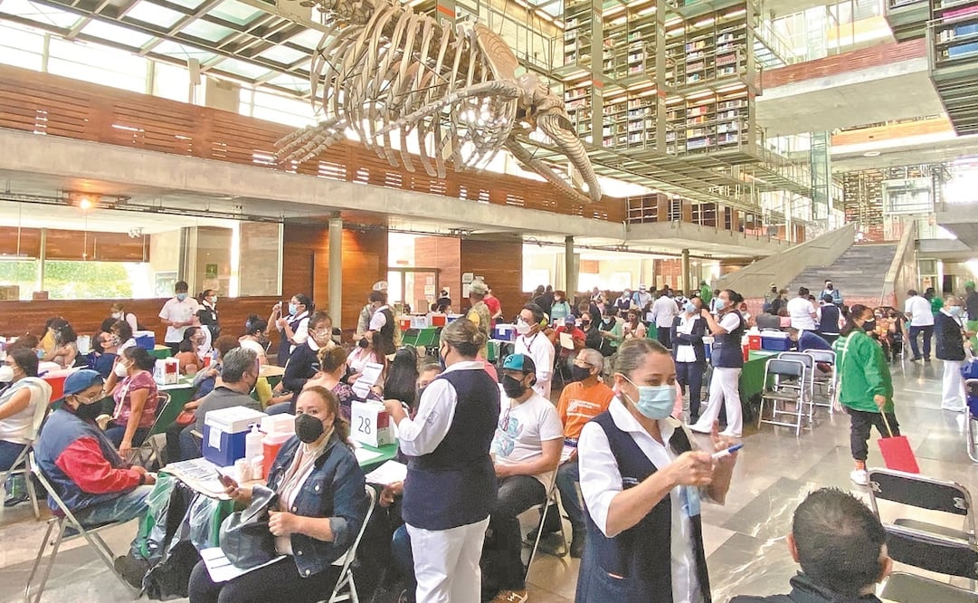 El martes 18 de mayo inició el programa de vacunación para maestros y trabajadores del sector educativo con la aplicación de la vacuna de CanSino. Imagen de la Biblioteca José Vasconcelos, una de las sedes. Fotos: Berenice Fregoso. EL UNIVERSAL
