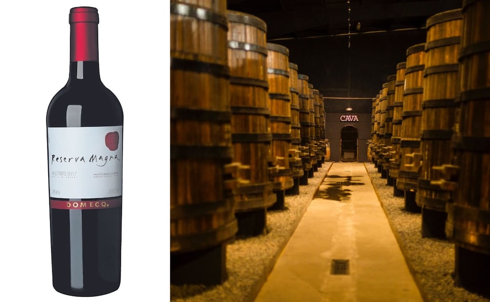 Aprender sobre vino mexicano, es ideal para cualquier sommelier. Foto: Especial