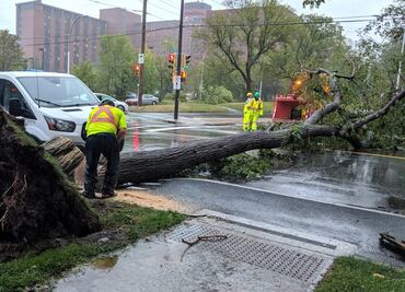 Tormenta “Dorian” llega a Canadá tras azotar costa este de EU