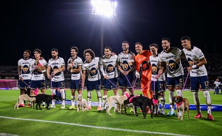 Pumas recibe críticas por realizar actividad con perros en CU mientras Aaron Ramsey sigue buscando a Halo