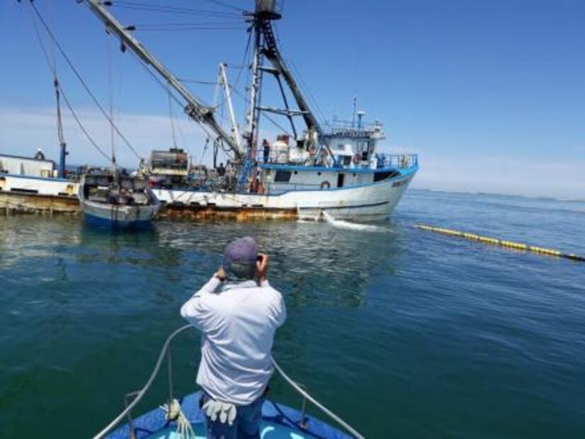 Profepa asegura embarcación por pesca de sardina dentro de área protegida en BCS