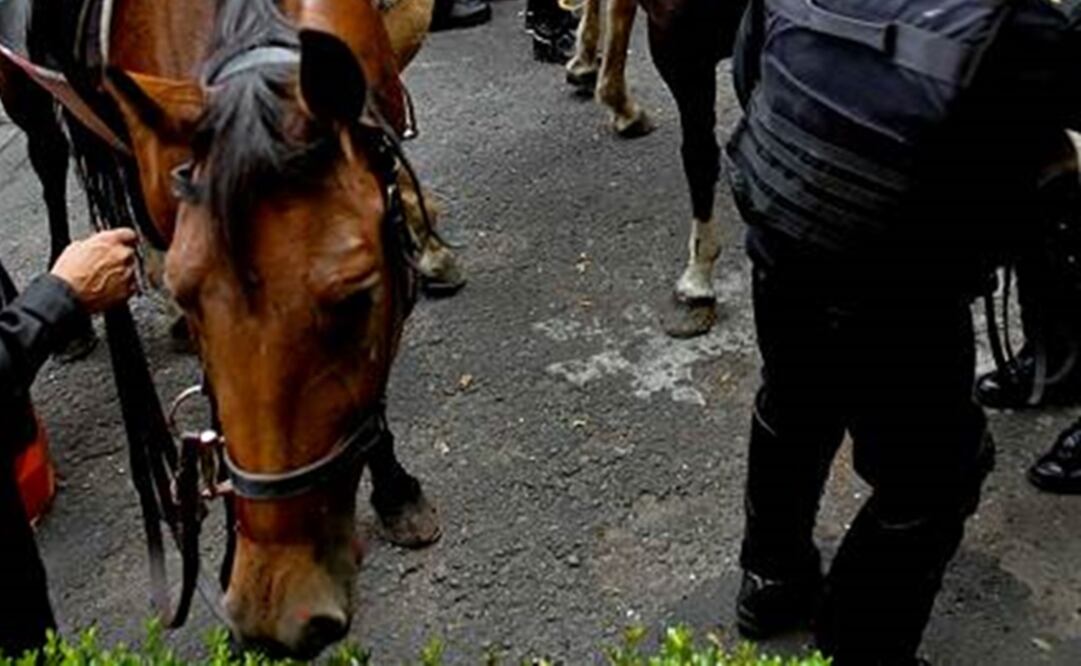 (FOTO: Archivo. EL UNIVERSAL)