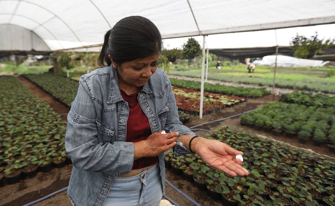 Caso de Elisa Xolalpa, víctima de ataque con ácido. Foto: Archivo/ EL UNIVERSAL.