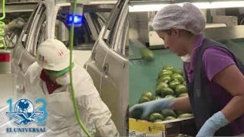 Crecen empleos precarios y sube la desocupación