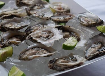 Ostión Tamaulipeco, una joya marina de orgullo mexicano