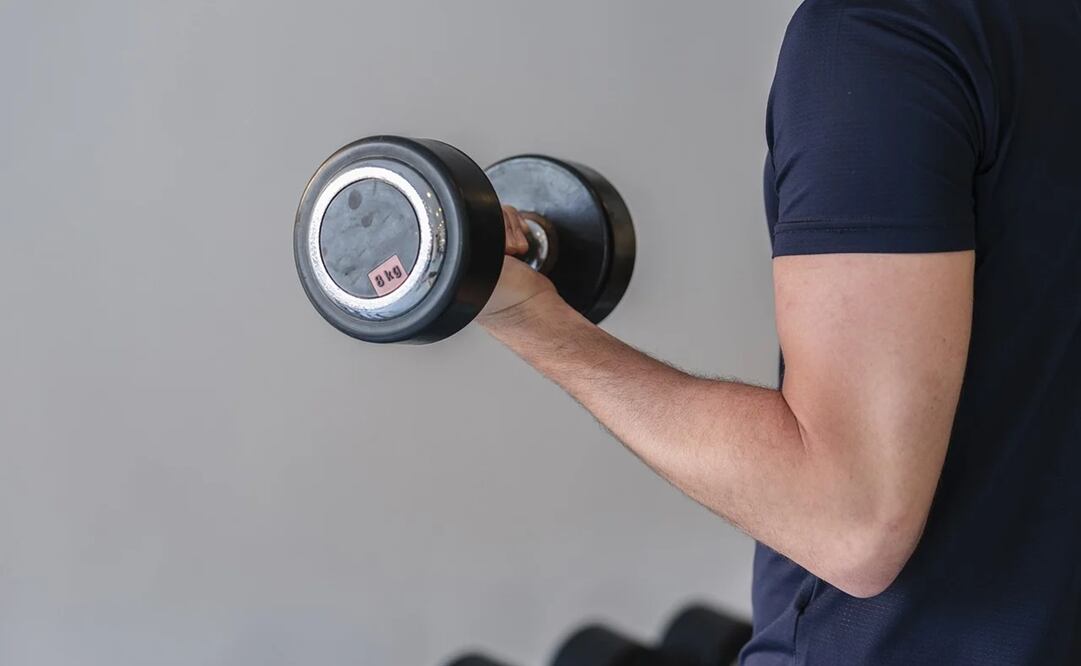 La hipertrofia muscular es la que hace crecer los músculos. Foto: Pixabay