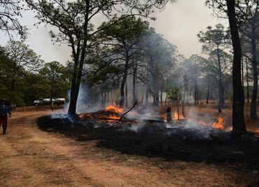 Probosque sofoca 18 incendios forestales en Edomex en 24 horas; aún hay siniestros activos en cinco zonas