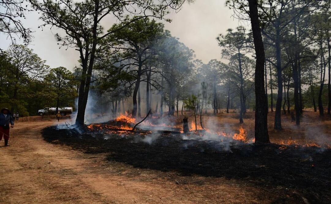 Probosque sofoca 18 incendios forestales en 24 horas en el Edomex. Foto: Especial