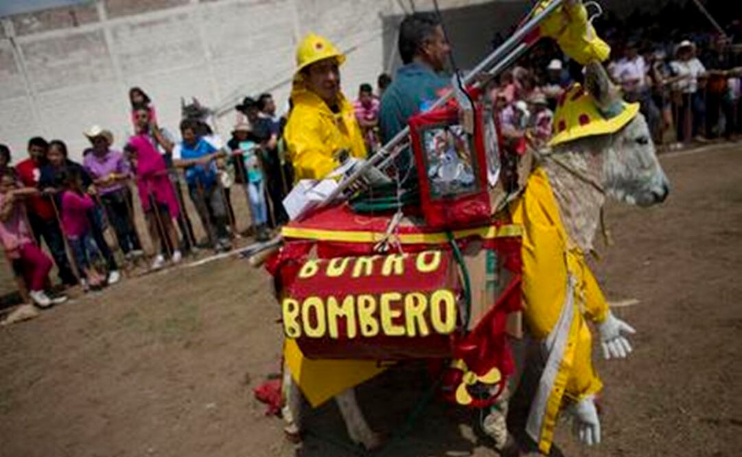 Dressed as a firefighter, this donkey parades in Otumba. (Photo: AP)