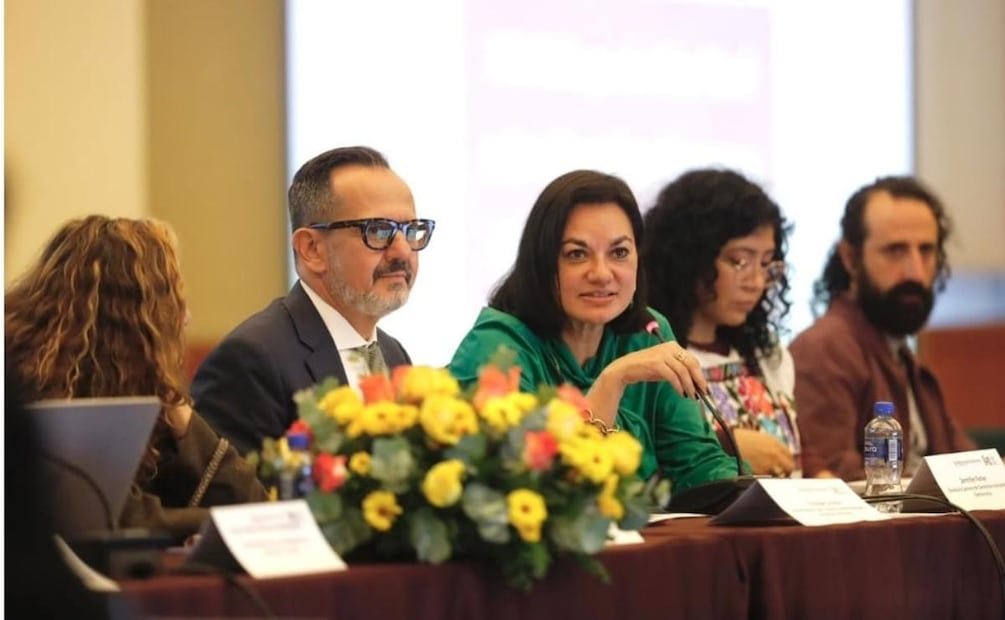 Subsecretario para Asuntos Multilaterales y Derechos Humanos de la Secretaría de Relaciones Exteriores, Enrique Ochoa Martínez (18/12/2025). Foto: Especial