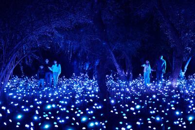 Light Cycles en Chapultepec: cuándo abre la experiencia inmersiva