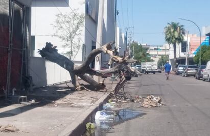 Azota microburst a Hermosillo, Sonora; lluvia y granizo causan daños materiales