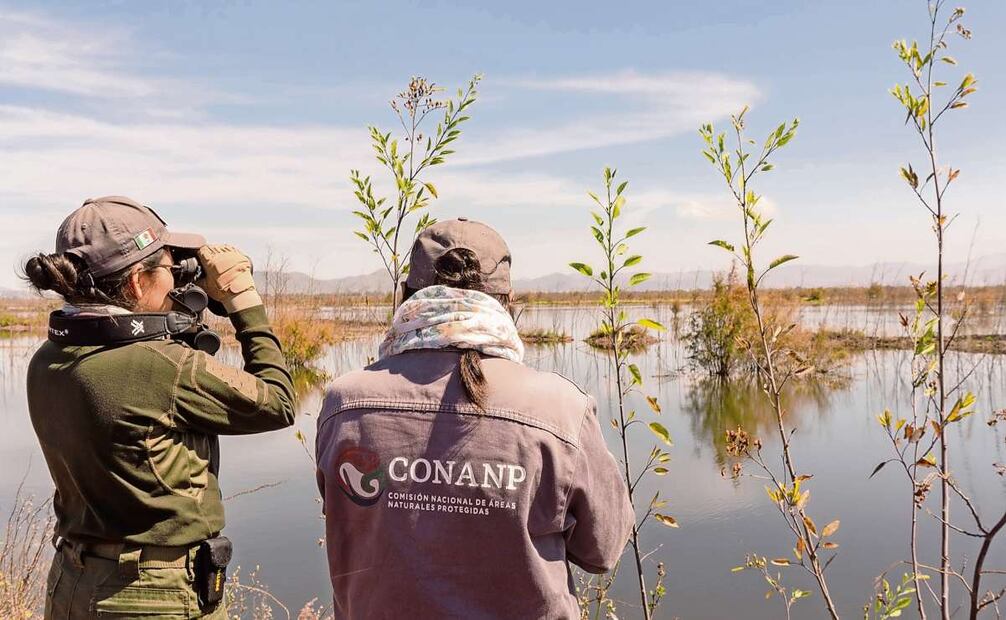 Hoy existen brigadas para monitorear el lago; autoridades y habitantes recorren humedales, cuentan aves y registran cambios. Foto: Osmar Alvarado y Especial