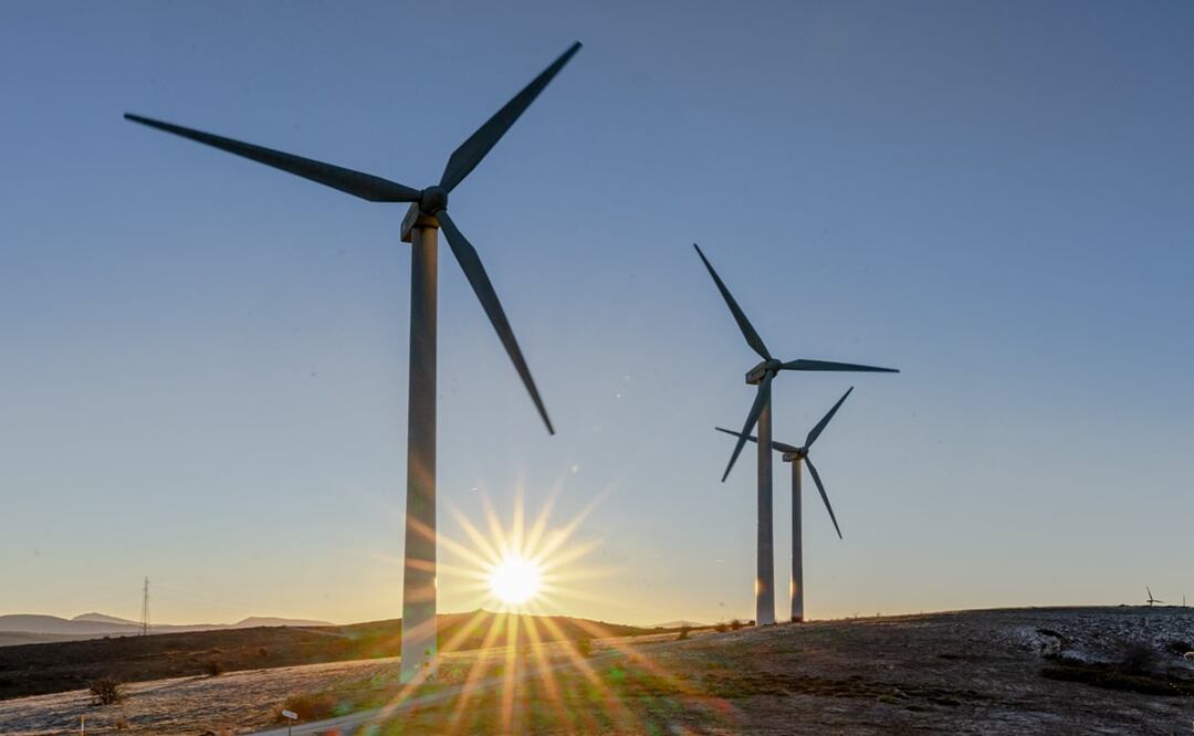 FOTO: Captura de pantalla / Twitter @iberdrola