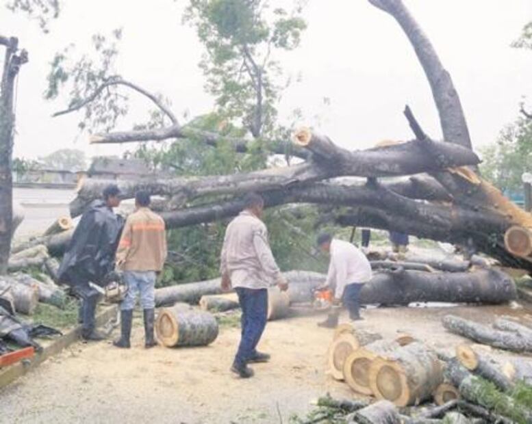 Temporal gélido azota a 21 entidades del país