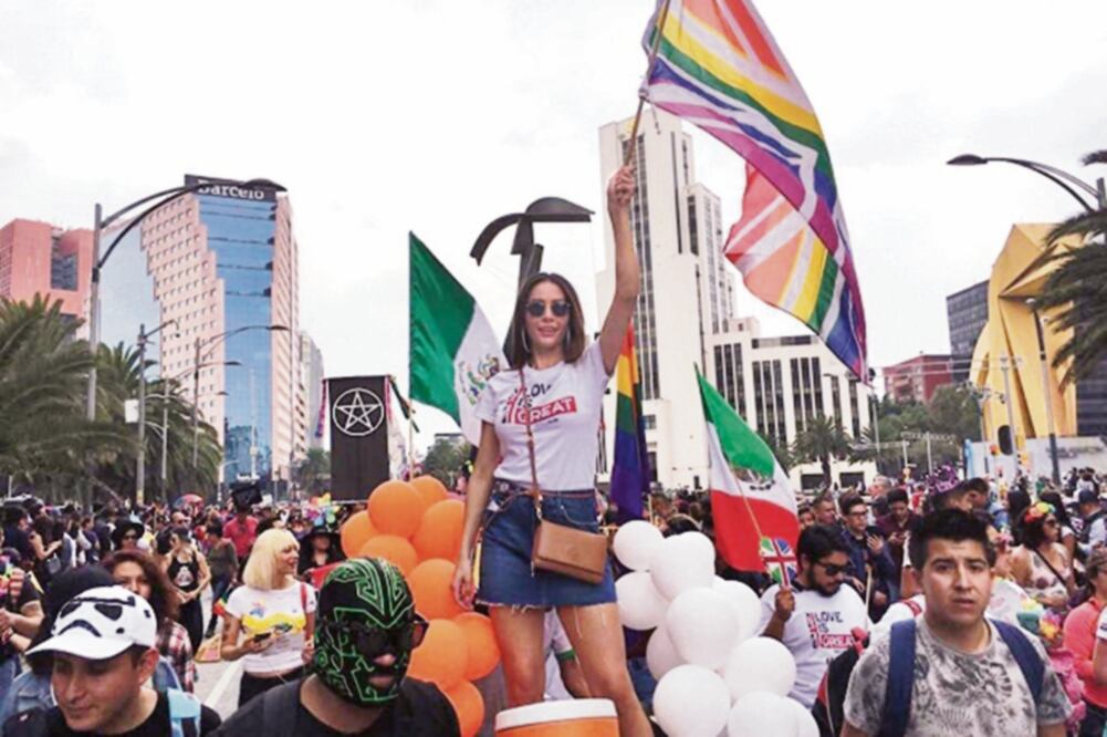 En la marcha participaron representantes de embajadas de Alemania, Suecia, Australia, Canadá, Nueva Zelanda, Brasil, Argentina, Finlandia e Irlanda. (JULIÁN SÁNCHEZ. EL UNIVERSAL)