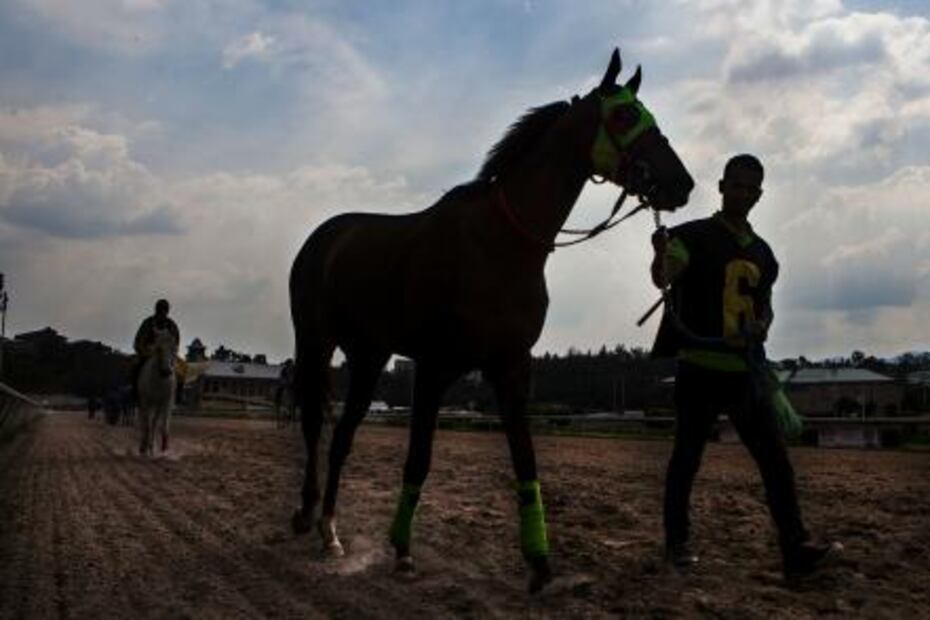 “Si algo me pasara montando, moriría feliz”