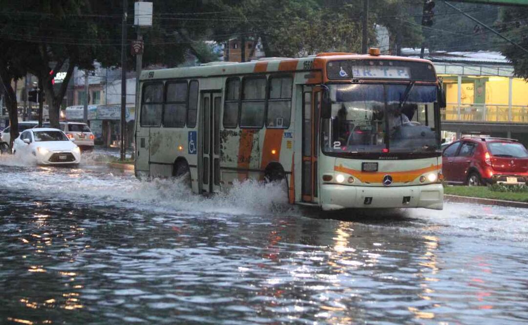 Se recomienda apartase de lugares próximos a muros, árboles, cables de luz y espectaculares en visible riesgo de caer. Foto: Francisco Rodríguez/EL UNIVERSAL