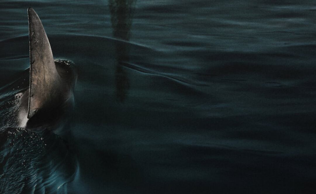 "En las profundidades del Sena"