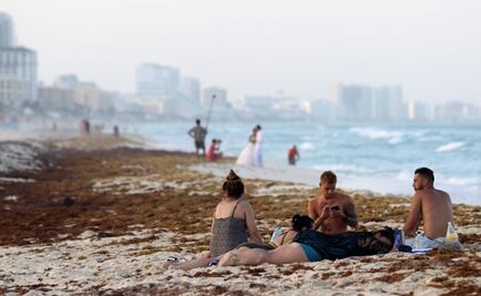 Sargazo en el Caribe: el desastre en México por la marea de algas