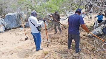 Hallan 5 fosas y restos expuestos en Comondú, Baja California Sur