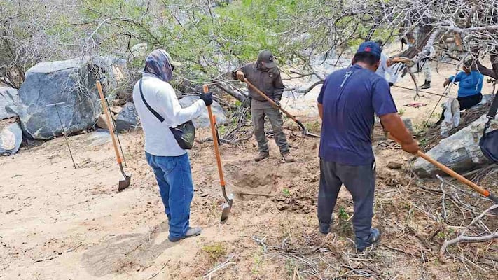 Hallan 5 fosas y restos expuestos en Comondú, Baja California Sur