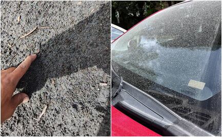 VIDEO: Reportan caída de ceniza del volcán Popocatépetl en Coyoacán, Tlalpan y Xochimilco