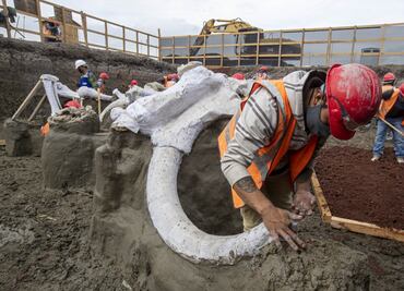 ¿Qué sabemos de los mamuts en Santa Lucía, donde se construye el aeropuerto Felipe Ángeles?