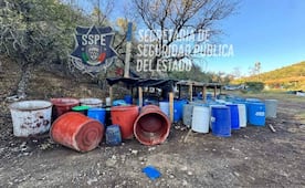 Aseguran presunto narcolaboratorio de metanfetaminas y fentanilo en zona serrana de Chihuahua; no se reportan detenidos