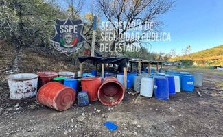 Aseguran presunto narcolaboratorio de metanfetaminas y fentanilo en zona serrana de Chihuahua; no se reportan detenidos